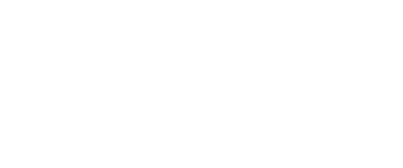 dikso logo